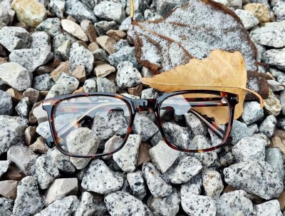 Okulary oprawki korekcyjne Nerdy zerówki Sunoptic CP119E brown/red